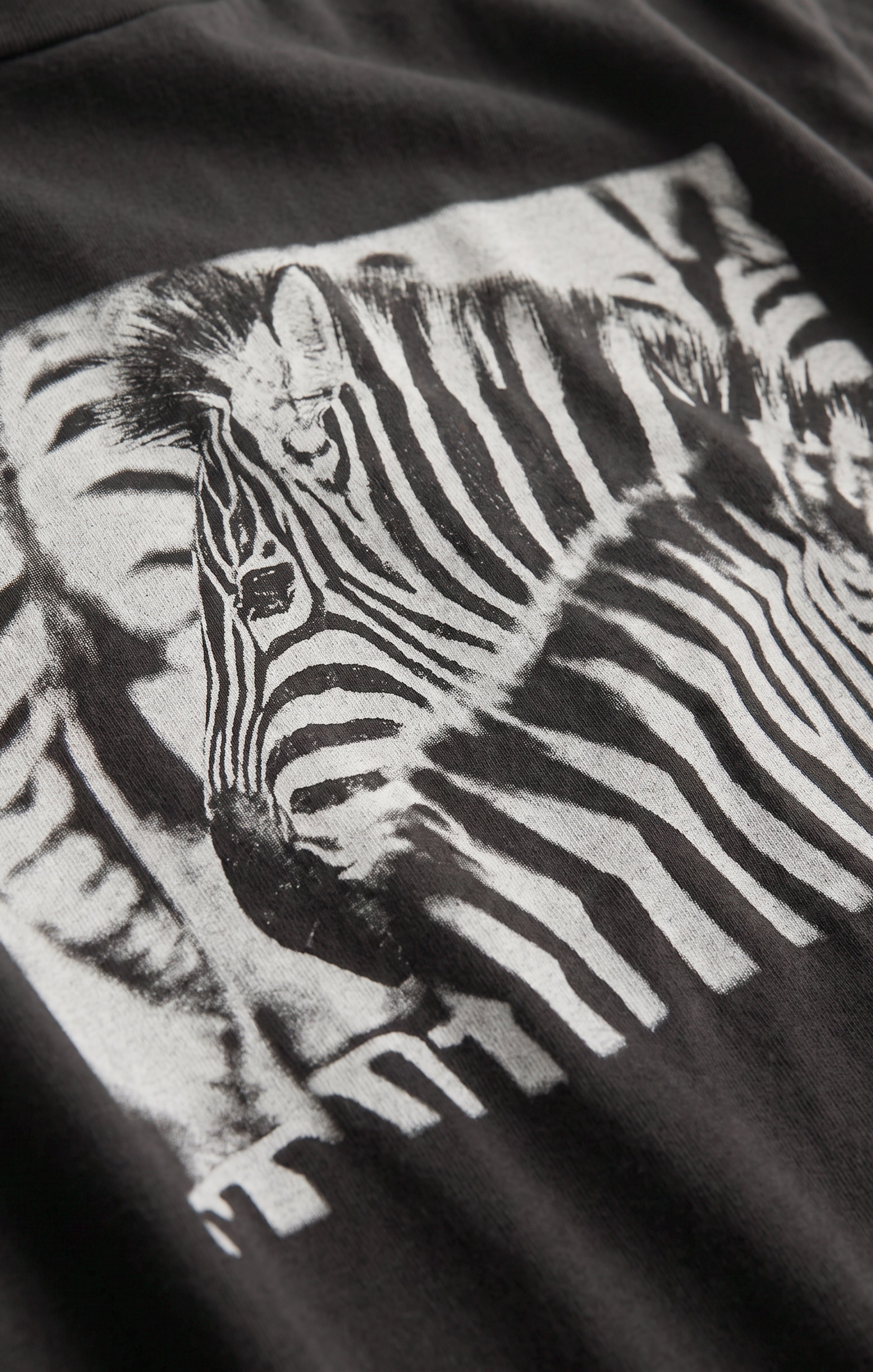 Zebra Graphic Boyfriend Tee